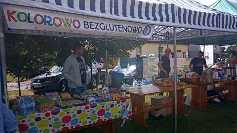 Piknik Cukiereczków - to była już trzecia edycja imprezy zorganizowanej przez Stowarzyszenia na Rzecz Pomocy Dzieciom i Młodzieży z Cukrzycą Typu 1 „Słodka Jedynka”./fot. Jolanta Fischer