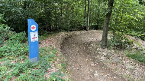 Kotlina Kłodzka i sieć ścieżek rowerowych Glacensis Singletrack. Fot. Tomasz Kaźmierski