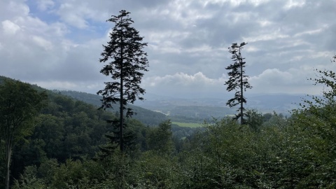 Kotlina Kłodzka i sieć ścieżek rowerowych Glacensis Singletrack. Fot. Tomasz Kaźmierski