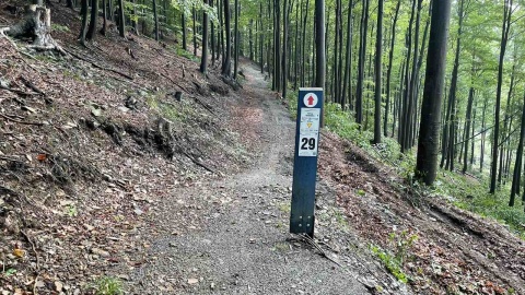 Kotlina Kłodzka i sieć ścieżek rowerowych Glacensis Singletrack. Fot. Tomasz Kaźmierski