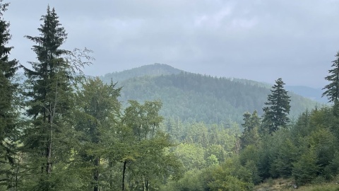 Kotlina Kłodzka i sieć ścieżek rowerowych Glacensis Singletrack. Fot. Tomasz Kaźmierski