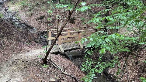 Kotlina Kłodzka i sieć ścieżek rowerowych Glacensis Singletrack. Fot. Tomasz Kaźmierski