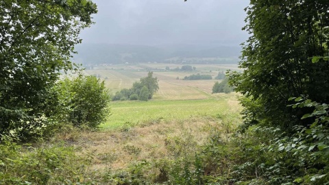 Kotlina Kłodzka i sieć ścieżek rowerowych Glacensis Singletrack. Fot. Tomasz Kaźmierski