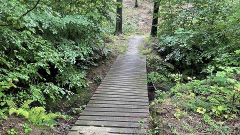 Kotlina Kłodzka i sieć ścieżek rowerowych Glacensis Singletrack. Fot. Tomasz Kaźmierski