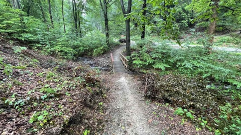 Kotlina Kłodzka i sieć ścieżek rowerowych Glacensis Singletrack. Fot. Tomasz Kaźmierski