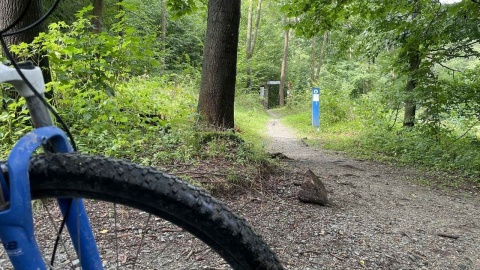 Kotlina Kłodzka i sieć ścieżek rowerowych Glacensis Singletrack. Fot. Tomasz Kaźmierski