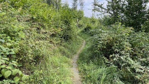 Kotlina Kłodzka i sieć ścieżek rowerowych Glacensis Singletrack. Fot. Tomasz Kaźmierski