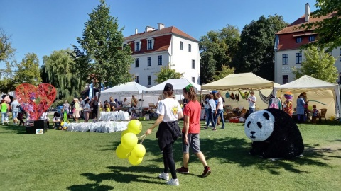 Piknik charytatywny „Łatwo pomagać" w Bydgoszczy/fot. Tatiana Adonis