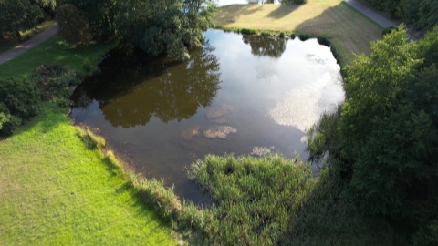 Leśny Park Kultury i Wypoczynku w bydgoskim Myślęcinku/fot. DronFor Krzysztof Forgiel, jw