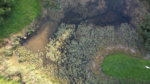 Leśny Park Kultury i Wypoczynku w bydgoskim Myślęcinku/fot. DronFor Krzysztof Forgiel, jw