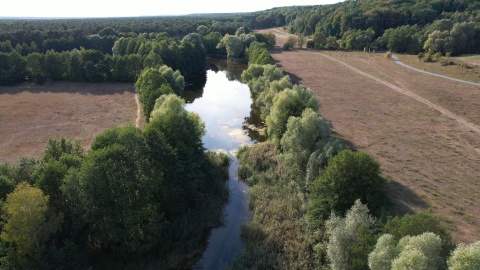 Leśny Park Kultury i Wypoczynku w bydgoskim Myślęcinku/fot. DronFor Krzysztof Forgiel, jw