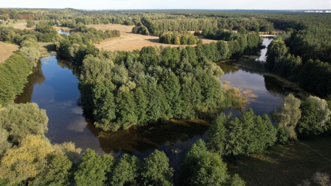 Leśny Park Kultury i Wypoczynku w bydgoskim Myślęcinku/fot. DronFor Krzysztof Forgiel, jw