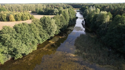 Leśny Park Kultury i Wypoczynku w bydgoskim Myślęcinku/fot. DronFor Krzysztof Forgiel, jw