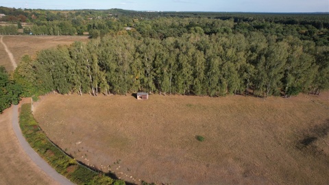 Leśny Park Kultury i Wypoczynku w bydgoskim Myślęcinku/fot. DronFor Krzysztof Forgiel, jw