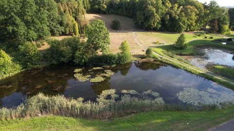 Leśny Park Kultury i Wypoczynku w bydgoskim Myślęcinku/fot. DronFor Krzysztof Forgiel, jw