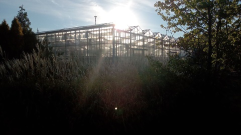 Tak wygląda jesienią ogród botaniczny Krajowego Centrum Roślinnych Zasobów Genowych w bydgoskim Myślęcinku/fot. Jarosław Mikietyński