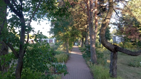 Tak wygląda jesienią ogród botaniczny Krajowego Centrum Roślinnych Zasobów Genowych w bydgoskim Myślęcinku/fot. Jarosław Mikietyński