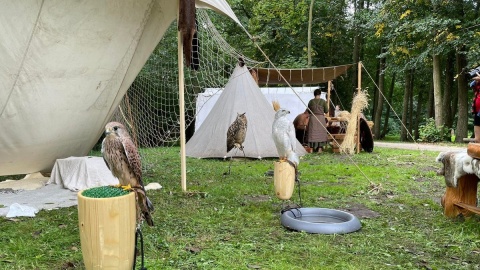 XXVII Festyn Archeologiczny trwa od środy (14 września) do niedzieli (18 września)/fot. Tomasz Kaźmierski