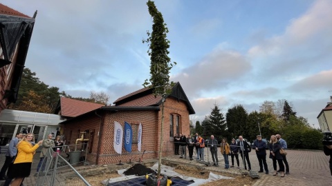 W ramach konferencji odbył się pokaz inspekcji dronem i sadzenia drzewa z „podziemną doniczką”. Fot. Tomasz Kaźmierski