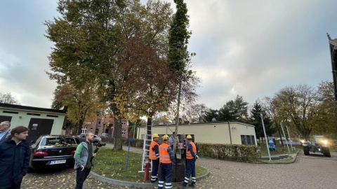 W ramach konferencji odbył się pokaz inspekcji dronem i sadzenia drzewa z „podziemną doniczką”. Fot. Tomasz Kaźmierski