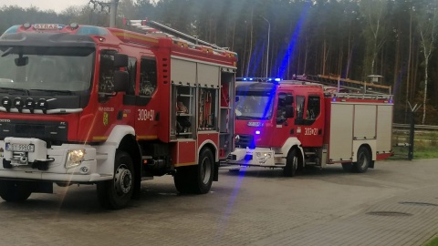 W ćwiczeniach uczestniczyły pogotowie ratunkowe, straż pożarna, policja/fot. KWP w Bydgoszczy