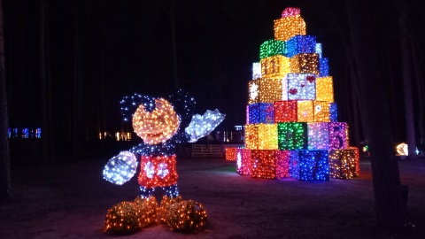 Lumina Park w Myślęcinku./fot. Tatiana Adonis