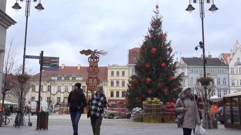 Coraz bliżej świąt. Choinka na Starym Rynku w Bydgoszczy już jest! (jw)