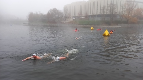 Focus Ice Swimming Bydgoszcz Festival/fot. Tatiana Adonis