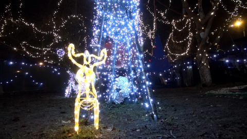 Iluminacje świąteczne przy domu przy ul. Sielskiej w Bydgoszczy/fot. jw