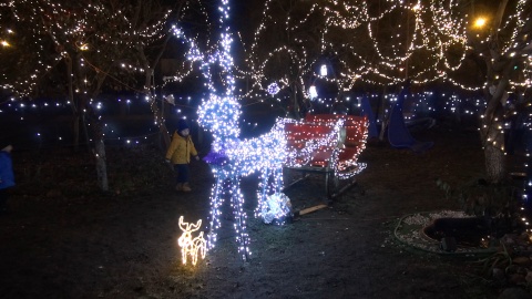 Iluminacje świąteczne przy domu przy ul. Sielskiej w Bydgoszczy/fot. jw