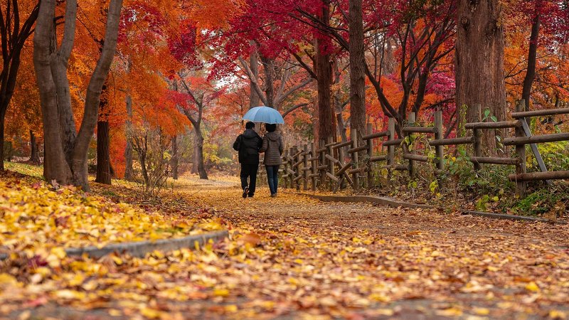 Choć jesień rozpoczynają chłodniejsze niż zwykle dni, to średnie temperatury października i listopada nie będą odbiegały od wieloletniej normy./fot. Pixabay