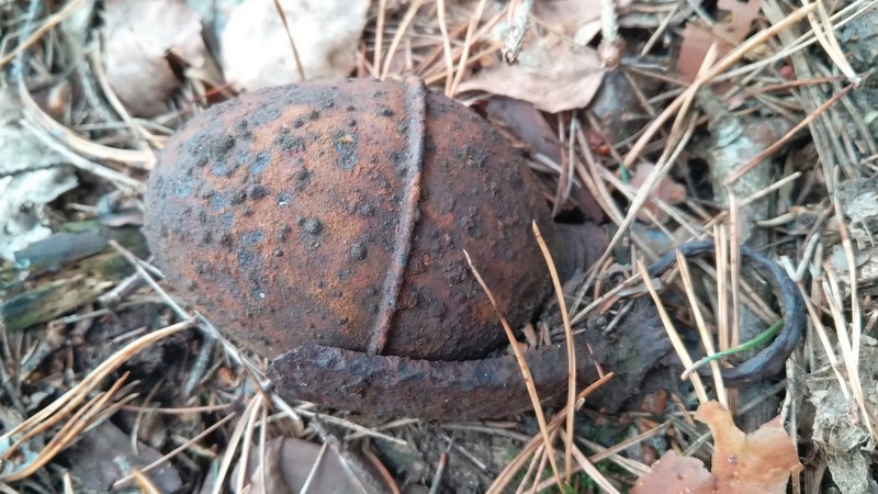 W lesie znaleziono 4 granaty ręczne oraz 54 sztuki amunicji strzeleckiej./fot. Policja