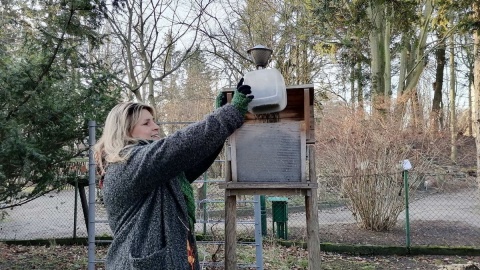 600 ptasich mieszkań będzie wyczyszczonych w Bydgoszczy do końca lutego/fot. Monika Siwak
