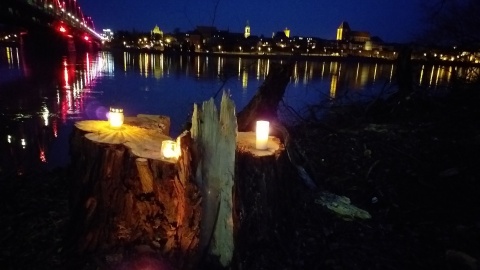 „Pobojowisko”, „dramat” - tak mieszkańcy Torunia komentują wycinkę w rejonie remontowanego mostu. Fot. Adriana Andrzejewska-Kuras