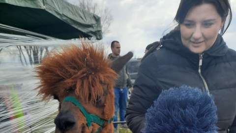 Zabawy ruchowe, upominki i zabawki, przysmaki kuchni domowej na gorąco oraz różne atrakcje uatrakcyjniły w godzinach popołudniowych piknik integracyjny dla uchodźców z Ukrainy. Fot. Ewa Kurzawa