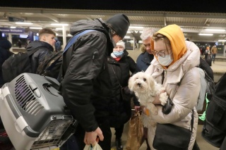 Uchodźcy wiozą ze sobą zwierzęta. Zbiórka we włocławskim schronisku