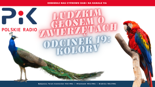 Ludzkim głosem o zwierzętach. Patrzcie i podziwiajcie Co za kolory... [wideo, zdjęcia]