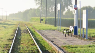 Wyższy peron i nowy przystanek. Modernizacja stacji kolejowej w Grzybnie