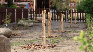 Czy miejski sad przetrwa na Londynku To jeden z projektów budżetu obywatelskiego
