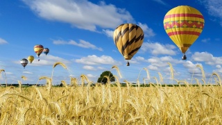 Nie może padać, ani wiać Balony już szykują się do lotu nad Rypinem