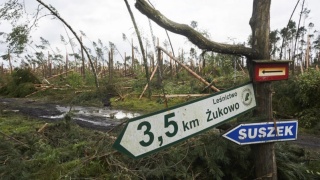 Byli zabici i ranni. Runęły całe połacie lasu. Pięć lat temu nad Polską szalał huragan