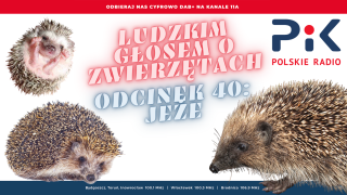 Ludzkim głosem o zwierzętach: tym razem będzie na ostro Oglądajcie i kochajcie [wideo, zdjęcia]