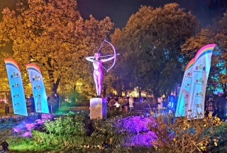 Bydgoszcz rozbłyśnie, w Toruniu zbierają grzyby. Baw się w weekend! [przewodnik]