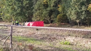 Samochód zderzył się z pociągiem. Zginął kierowca, mógł nie widzieć szlabanów [zdjęcia]
