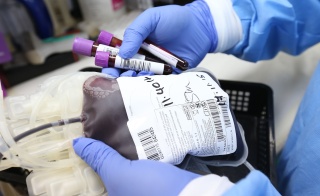 13 października to w Polsce Dzień Dawcy Szpiku. W bazie DKMS jest ich już 11 tysięcy [wideo]