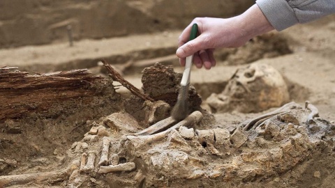 Antropolodzy kończą badanie kości znalezionych na komisariacie w Brześciu Kujawskim