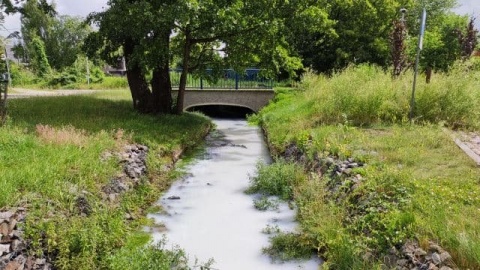 Struga Toruńska jak rzeka pełna mleka Służby już wiedzą, co zabrudziło wodę
