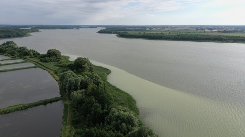 Woda zmieniła kolor, kąpiele zabronione. Czerwona flaga na plaży w Kruszwicy