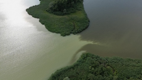 Wykryli bakterie E.coli w jeziorze Gopło. Kąpiel zakazana, Aquathlon odwołany