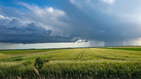 Ostrzeżenia przed upałami i gwałtownymi burzami. W weekend ochłodzenie [wideo]